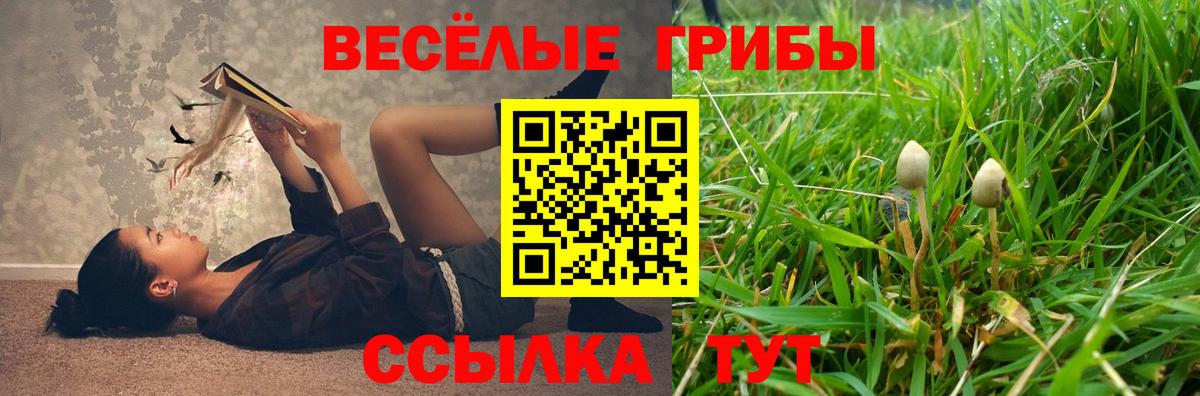 Галлюциногенные грибы Magic Shrooms Феодосия